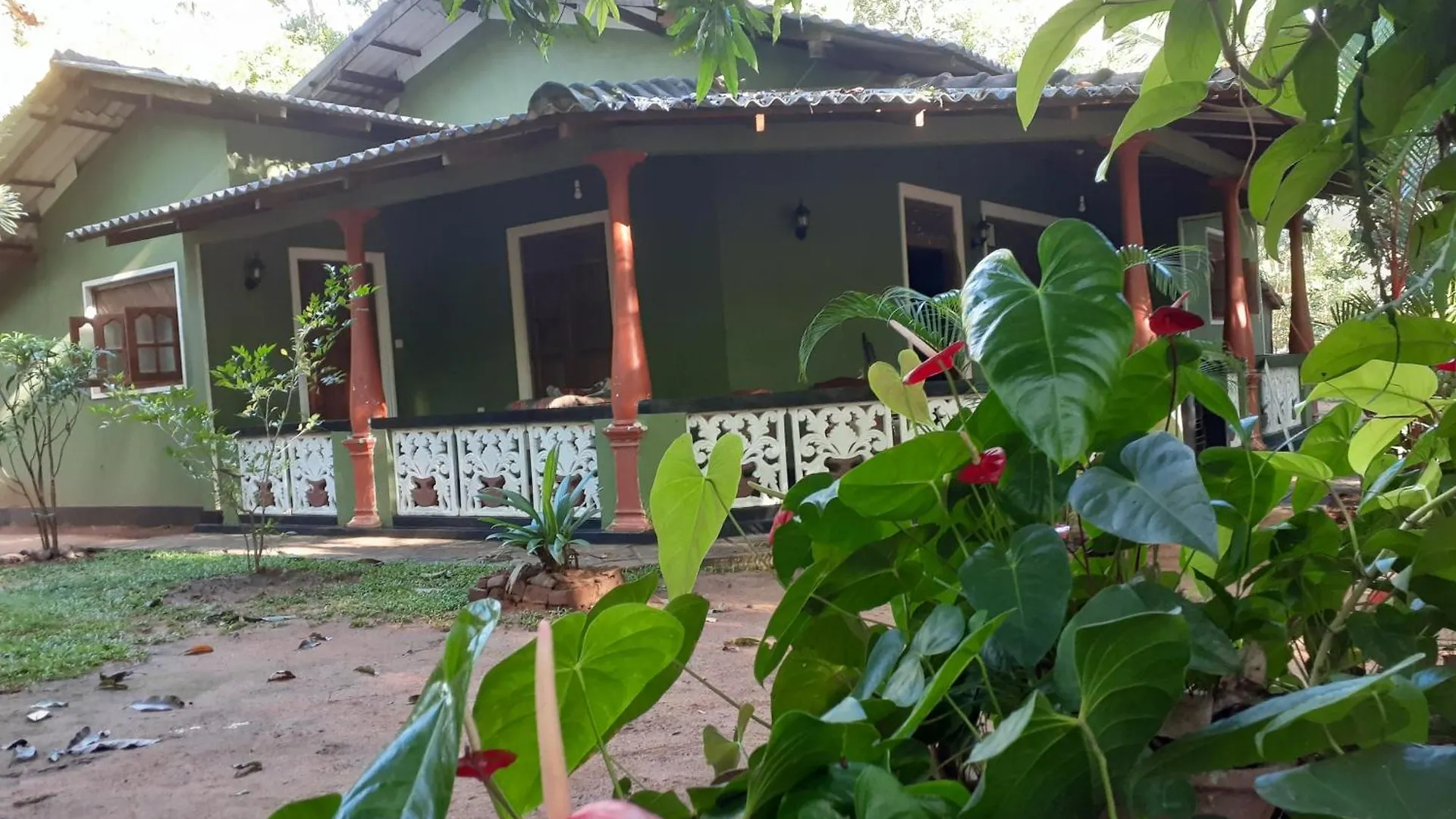 Green Bamboo House Сигирия Шри-Ланка