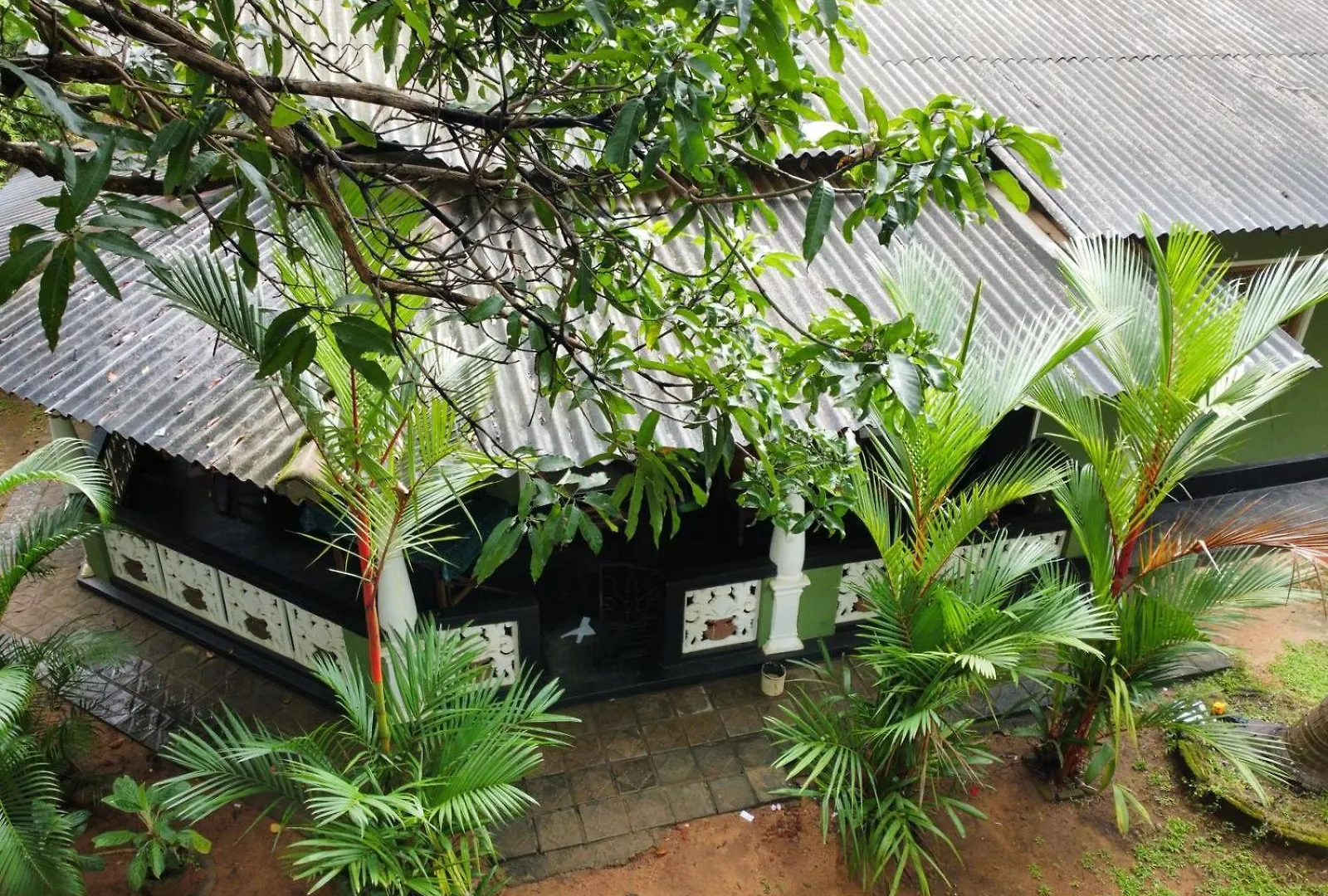 Green Bamboo House Сигирия 0*,  Шри-Ланка