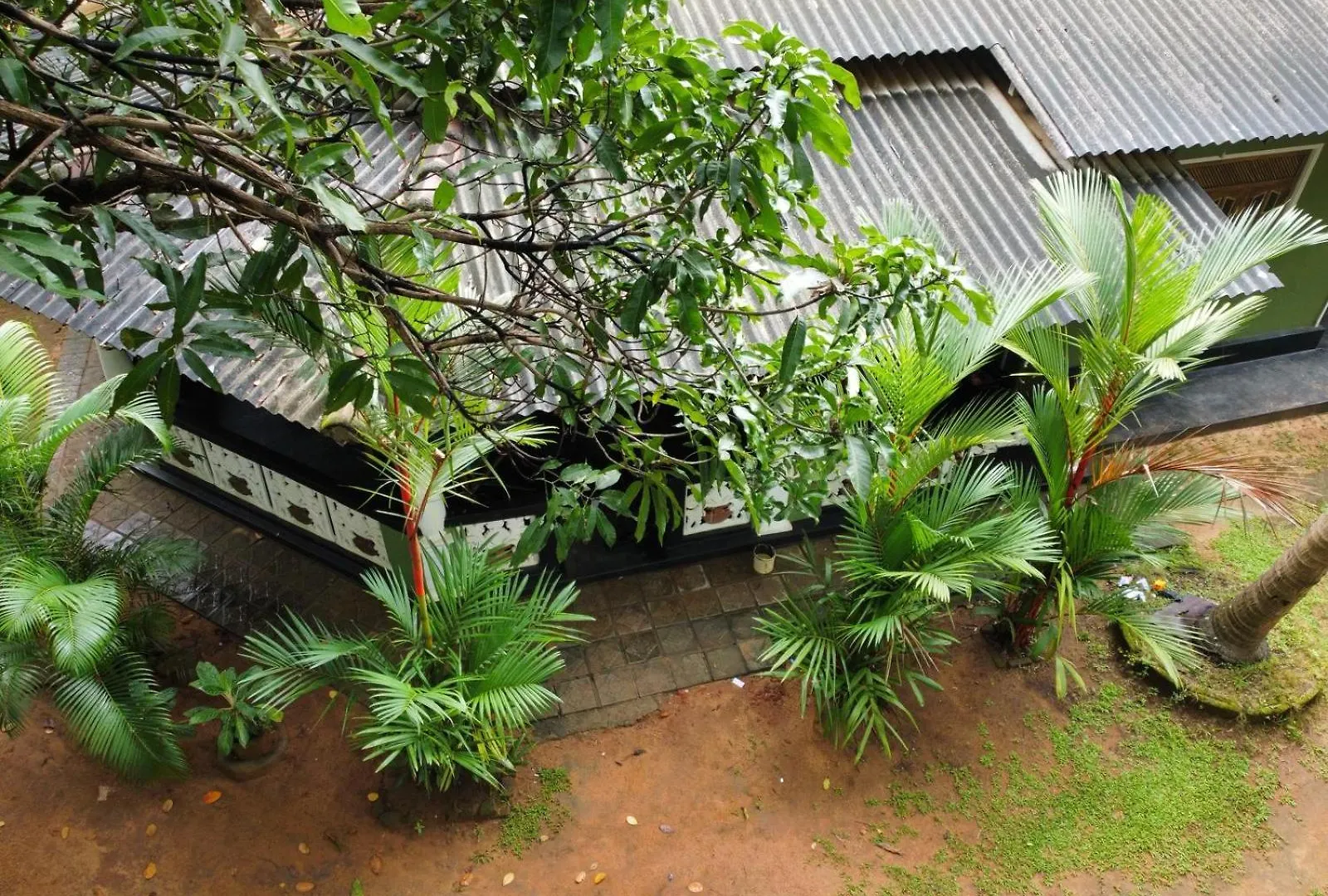 Green Bamboo House Сигирия